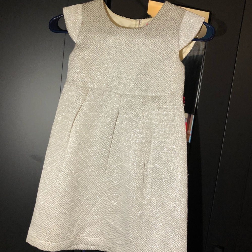 Little girls silver dress